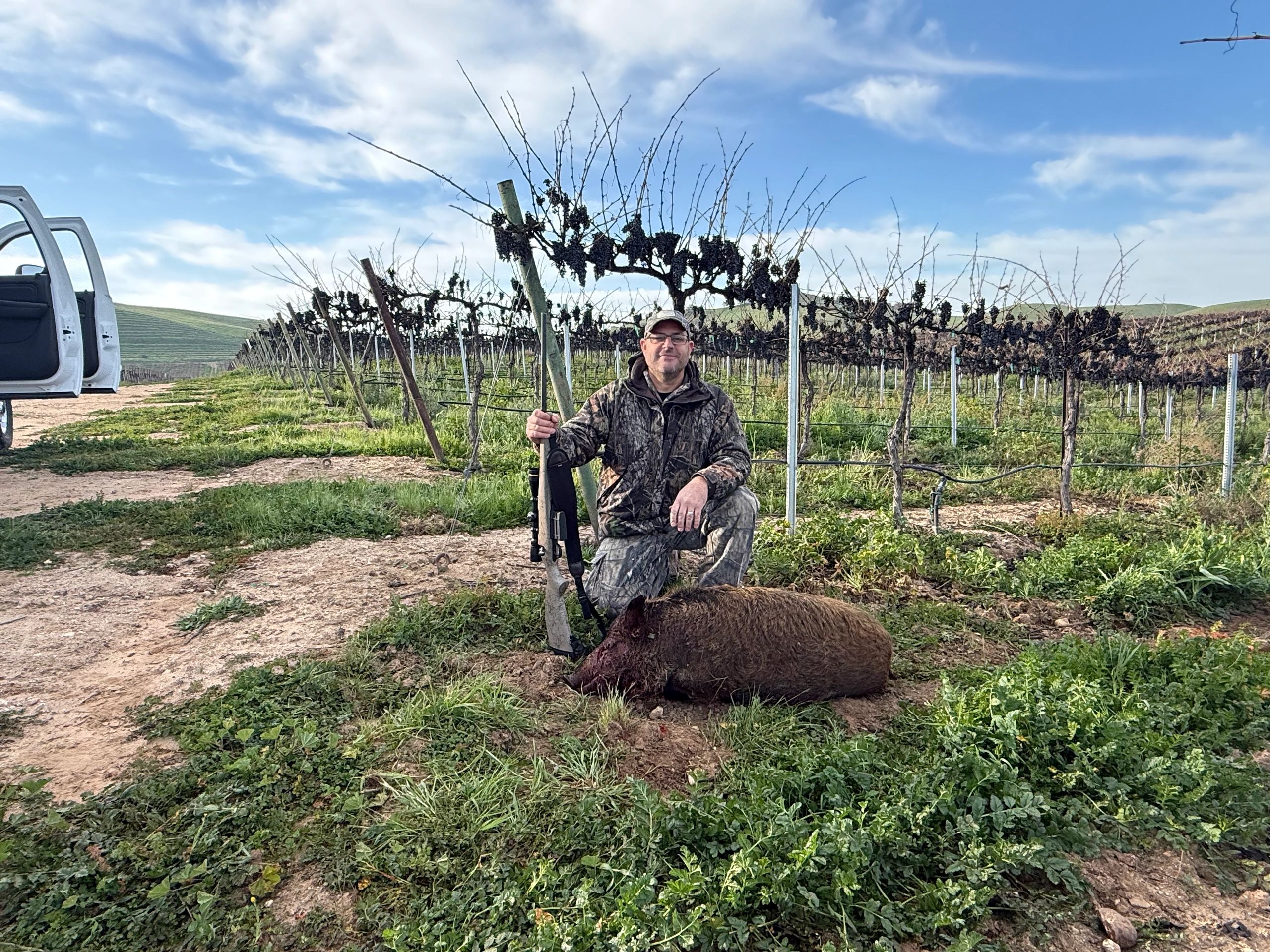 Hunter with harvested wild boar in vineyard