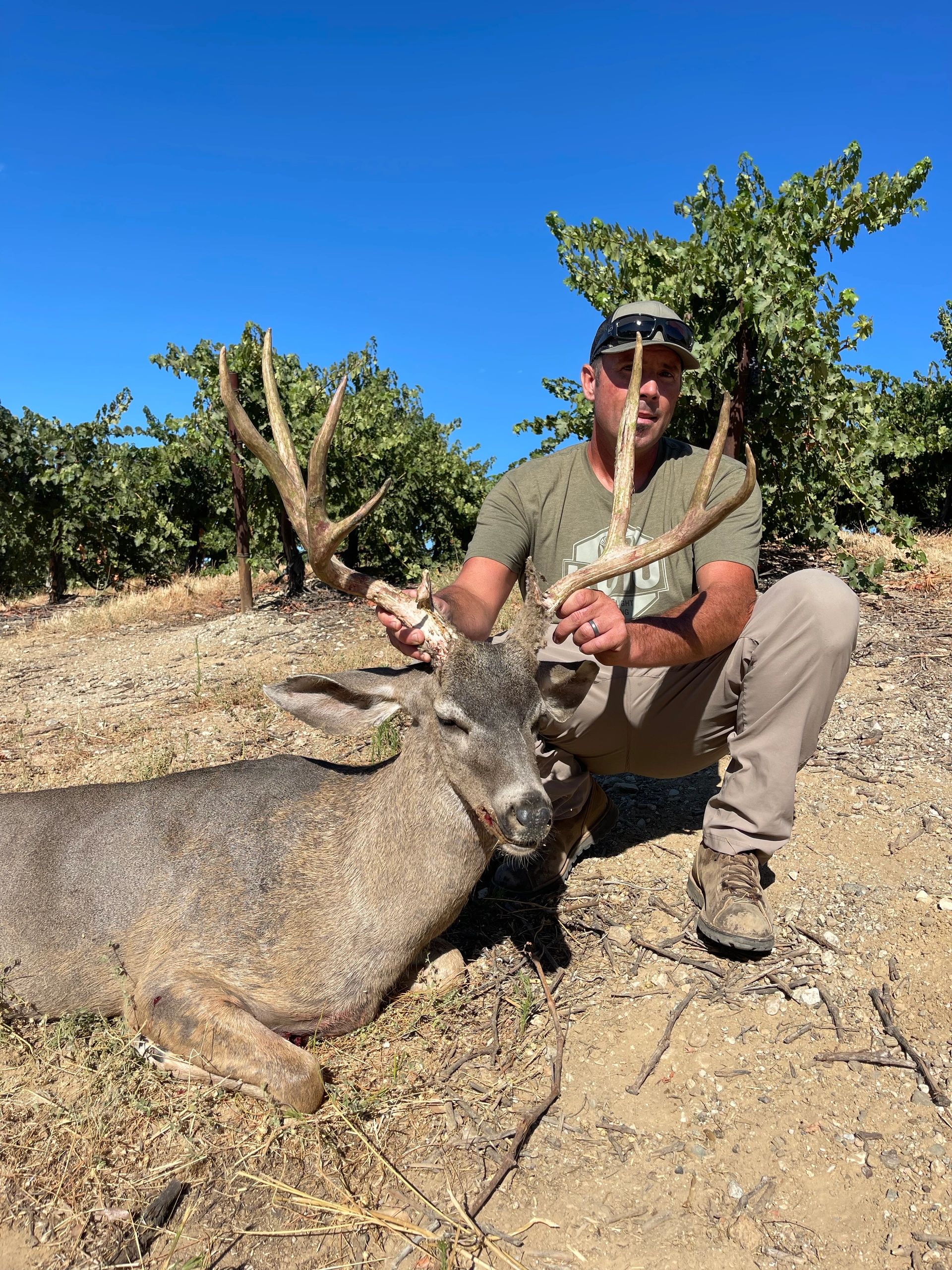 Hunter with harvested mule deer buck