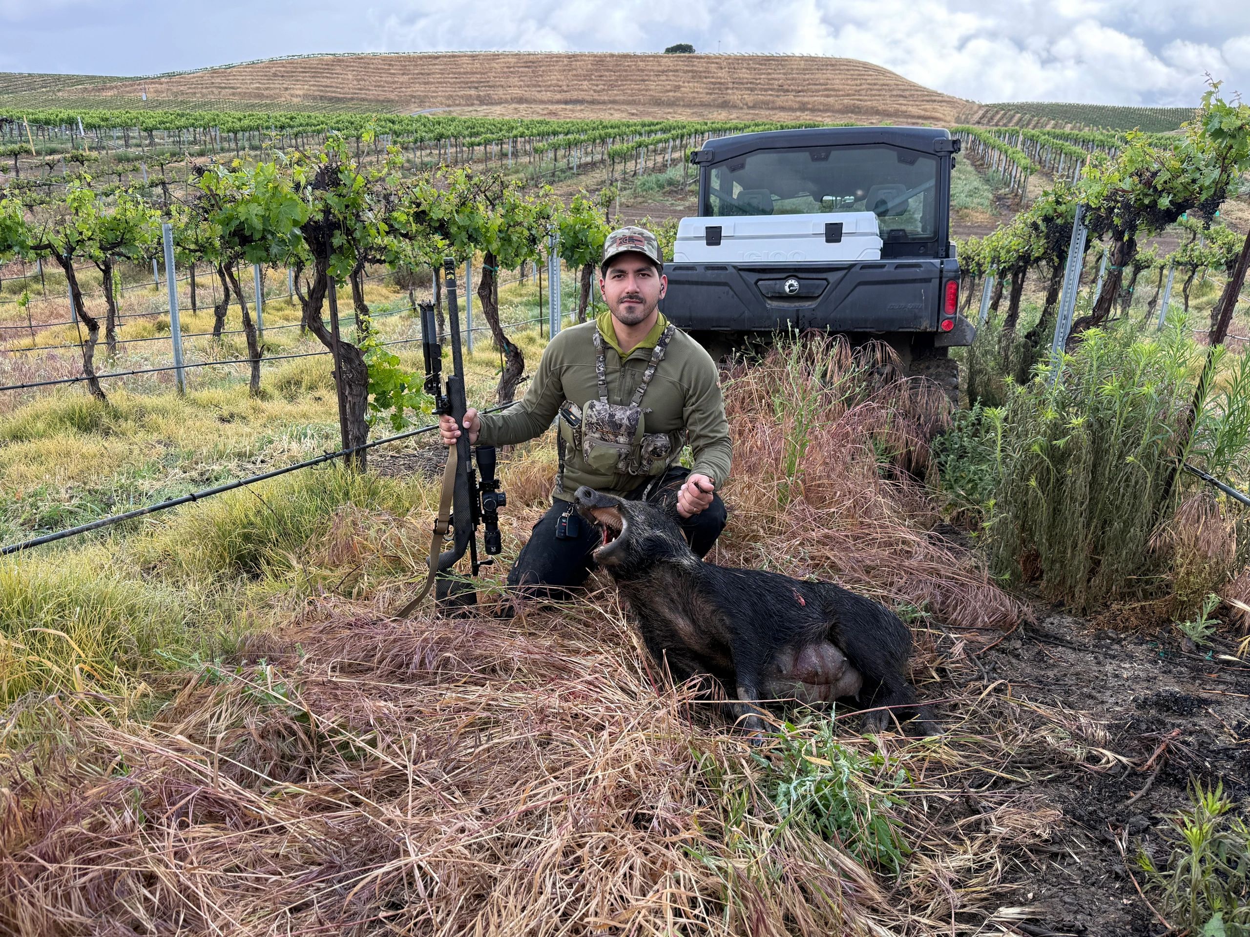 Guide with rifle and dog in vineyard